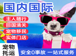 宁远机场物流国际宠物托运 【国